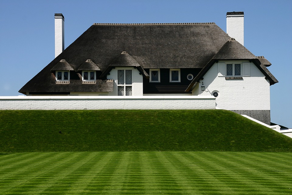 House with grass